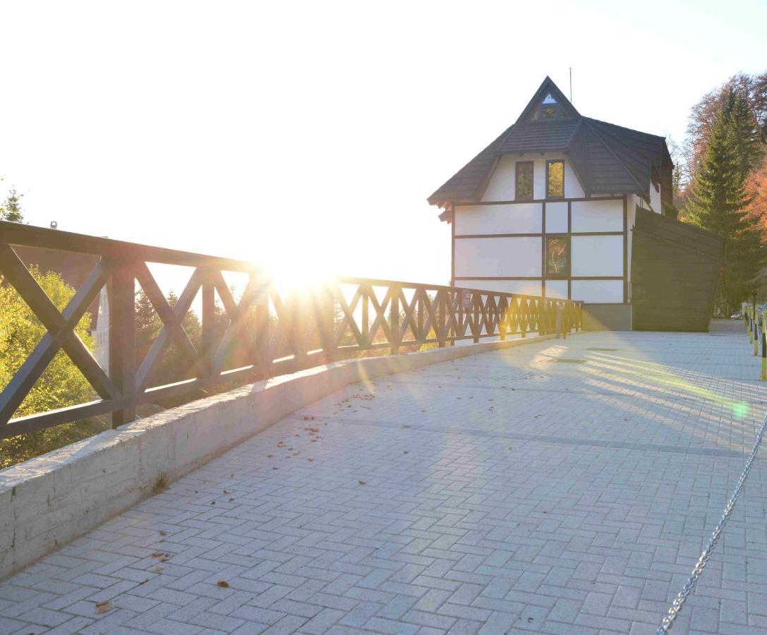 Vila Irina Kopaonik Exterior foto