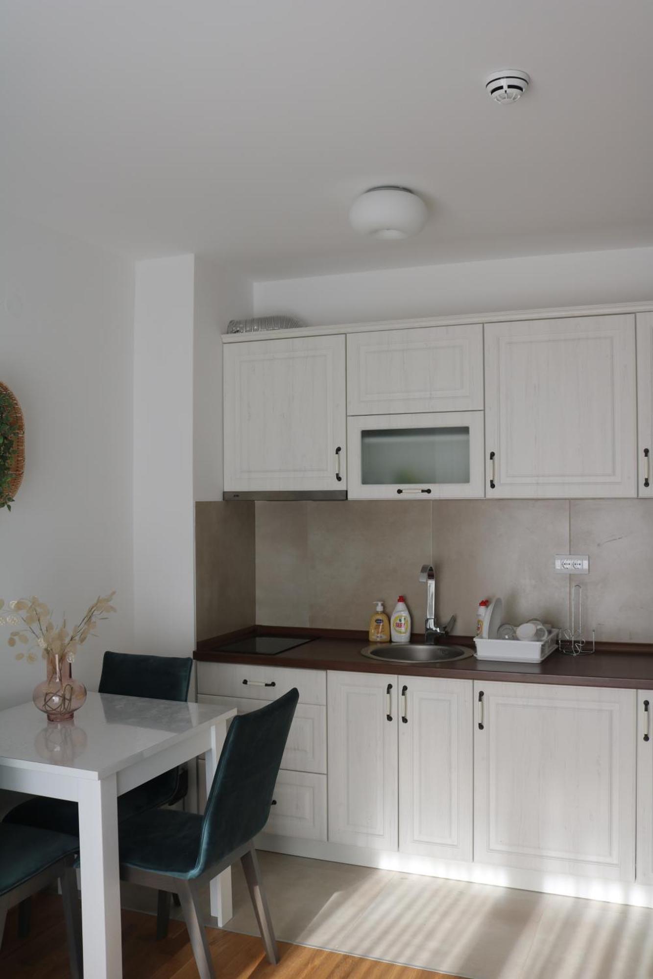 Vila Irina Kopaonik Quarto foto